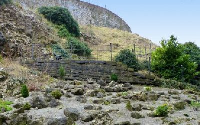 Queen Elizabeth Field 2