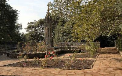 Early Postcard No. 4